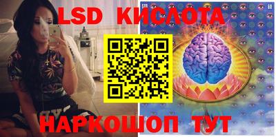 ECSTASY Камышлов