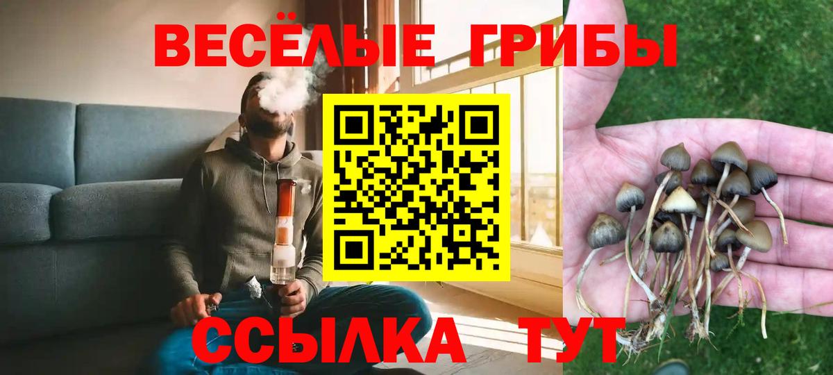 Галлюциногенные грибы Psilocybine cubensis  магазин продажи   Казань  Вход с VPN 