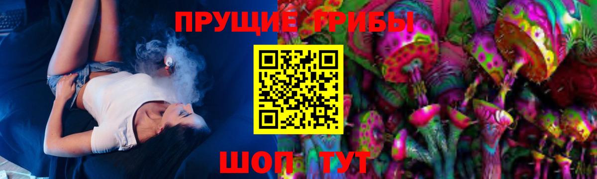 Псилоцибиновые грибы Psilocybe Казань